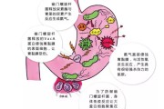 幽门螺旋杆菌弱阳性什么意思幽门螺旋杆菌弱阳性有什么症状