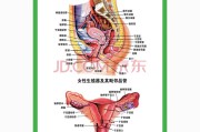 人体结构图人体结构图解
