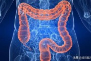 人的肠子分为哪几部分？