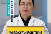 陈皮皮和卫光明的关系的简单介绍