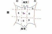 右上腹刺痛一阵一阵,右上腹疼痛