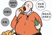减肥肝脏会变小吗,减肥肝
