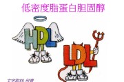 低密度脂蛋白偏高低密度脂蛋白偏高怎么调理