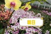 花期养生品牌经养宣传图片花期养生