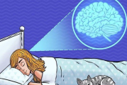 睡觉时身体抽搐频繁是什么病,睡觉时身体抽搐频繁