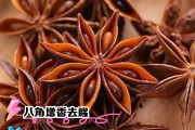 大料大料的用途与功效 大料大料的用途与功效