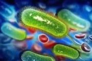 幽门螺旋杆菌是什么原因引起的,怎样预防及治疗幽门螺旋杆菌是什么原因引起的治疗简单吗