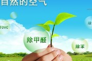 如何快速除甲醛?如何快速除甲醛