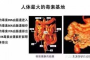 【肠道健康知识】 3.0吉悠片剂 对肠道有什么作用？