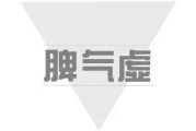脾气虚脾气虚吃什么中成药