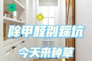 装修去甲醛装修去甲醛的植物叫什么 装修去甲醛装修去甲醛的植物叫什么