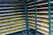 金银花烘干技术讲解金银花如何烘干