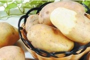 拉肚子应该吃什么食物好的简单介绍