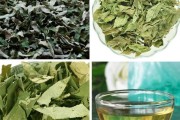 荷叶茶的功效与作用普洱决明子荷叶茶的功效与作用 荷叶茶的功效与作用普洱决明子荷叶茶的功效与作用