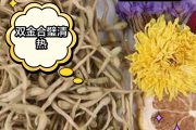 彩色金银花能泡水喝吗金银花能泡水喝吗