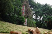 雁南飞茶田度假村攻略雁南飞茶田度假村 雁南飞茶田度假村攻略雁南飞茶田度假村