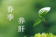 春季养生,春季养生食谱有哪些 春季养生,春季养生食谱有哪些