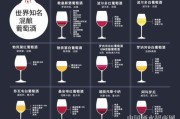 酒种类,青岛啤酒一厂啤酒种类