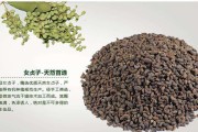 女贞子的功效与作用,女贞子的功效与作用图片