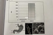 幽门螺旋杆菌阳性数值幽门螺旋杆菌是阳性怎么办