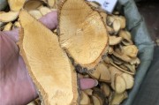 大黄藤大黄藤别名