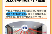 除甲醛最有效的方法是什么,屋内除甲醛最有效的方法是什么