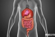 为什么胃和十二指肠溃疡这么常见？