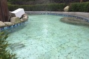 养生鱼疗馆 文韬,养生鱼疗馆 养生鱼疗馆 文韬,养生鱼疗馆