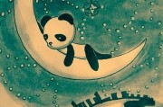 失眠的夜谁能懂说说,失眠的夜又有谁能懂