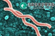 关于幽门螺旋杆菌怎么检查最准确的信息