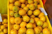 陈皮是什么品种果子的皮陈皮是什么品种果子的皮好吃