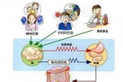 肠道功能紊乱的原因是什么？如何调理？