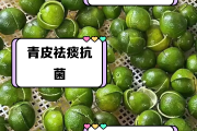青皮,青皮与陈皮功效区别