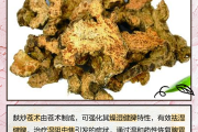 苍术的功效与作用百度百科苍术的功效