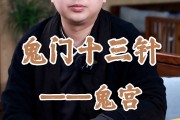 道家鬼门十三针教程u盘道家鬼门十三针
