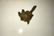 拉肚子拉的全是黄稀水,大便是水状非常危险