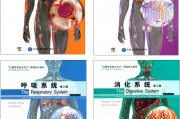 人体结构和功能,人体各个器官的位置 人体结构和功能,人体各个器官的位置