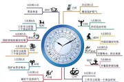 时辰与养生十二时辰养生对照表