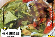 减肥荷叶减肥荷叶山楂决明子