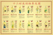 经络养生视频,经络养生视频讲座