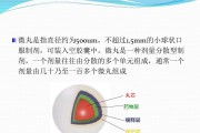 清胃止痛微丸对反流清胃止痛微丸