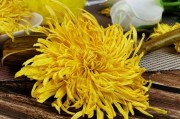 菊花茶,菊花茶哪种菊花最好
