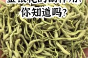 金银花有效成分,金银花有效成分的提取方法