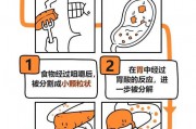 减肥科普,怎么减肥最快最有效