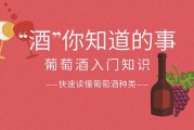 酒知识酒知识培训