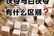 茯苓的作用与功效及副作用禁忌,茯苓的作用与功效