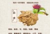 白术怎么读拼音是什么白术怎么读