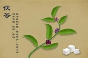茯苓四种人不能吃的原因茯苓四种人不能吃
