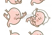 胃肠炎就是肠胃炎?两者是同一种疾病吗? 胃肠炎就是肠胃炎?两者是同一种疾病吗?