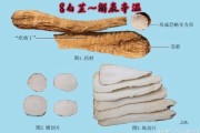 白芷的功效,白芷的功效主治
